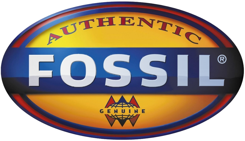 Fossil